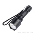 UV Blue LED Light Flashlight Torch